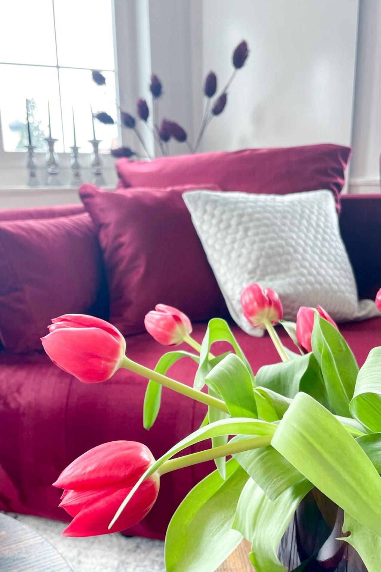 Ferienwohnung Velvet Ein Haus Mit Geschichte Im Herzen Tettnangs Messe Friedrichshafen Exterior foto
